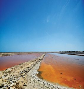 Salt Cay salt pans