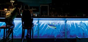 Like an underwater dream world, DeCamp’s work comes alive in the night time, swimming realistically under the glow of LED lights at Mis Amigos.